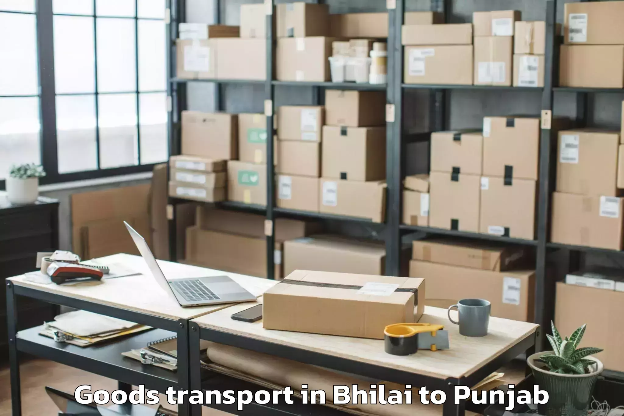 Leading Bhilai to Phagwara Goods Transport Provider